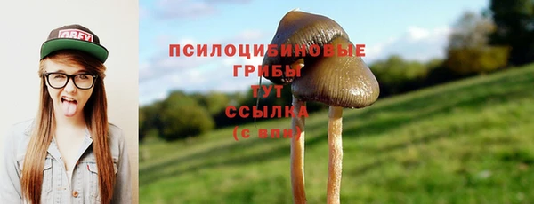 дживик Алексеевка