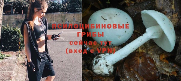 дживик Алексеевка